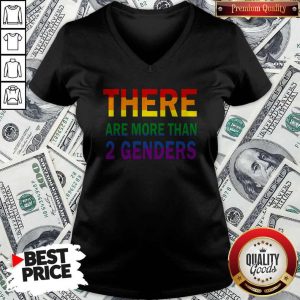 Official LGBT There Are More Than 2 Genders V-neck