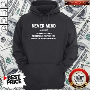Premium Never Mind You Were Too Stupid To Understand The First Time Hoodie