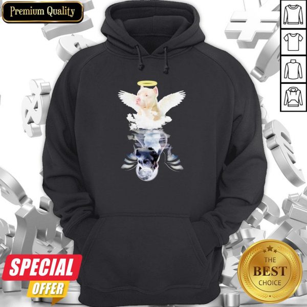 Pit Bull Angel And Devil Water Reflection Mirror Hoodie