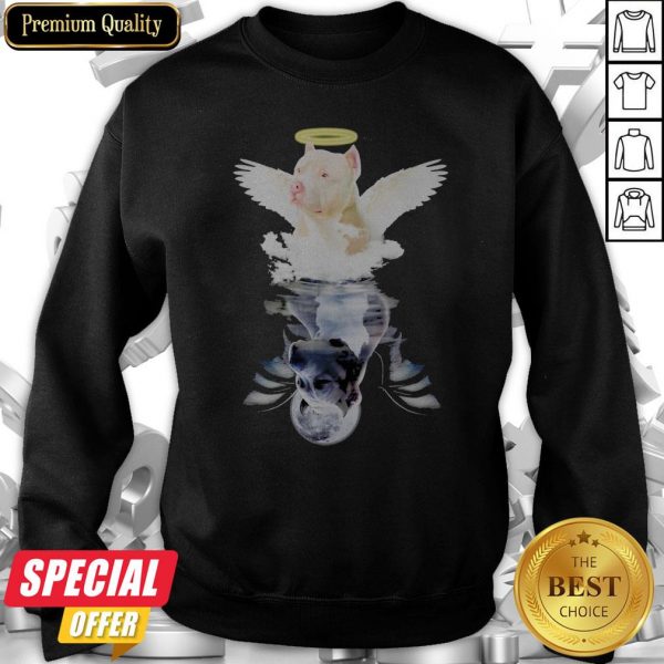 Pit Bull Angel And Devil Water Reflection Mirror Sweatshirt