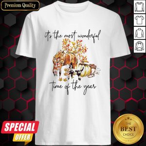 Autumn Horse It’s The Most Wonderful Time Of The Year Shirt
