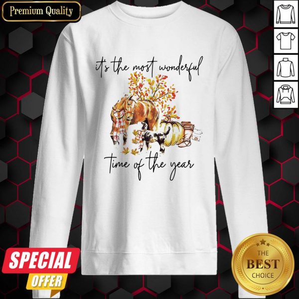 Autumn Horse It’s The Most Wonderful Time Of The Year Sweatshirt