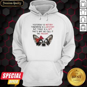 Chihuahua Yesterday Is History Tomorrow Is A Mystery But Today Is A Gift That’s Why We Call It The Present Hoodie