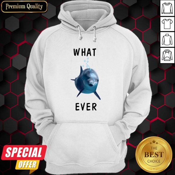 Dolphin What Ever Vintage Retro Hoodie