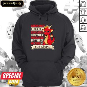 Dragon Ignorance Can Be Educated Crazy Can Be Medicated But There’s No Cure For Stupid Hoodie