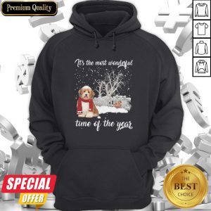 Havanese It’s The Most Wonderful Time Of The Year Hoodie