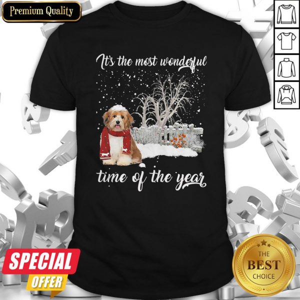 Havanese It’s The Most Wonderful Time Of The Year Shirt