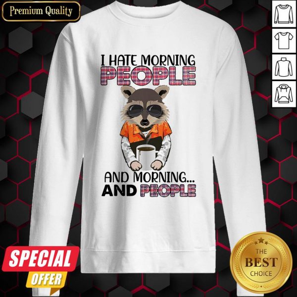 Racoon I Hate Morning People And Morning And People Vintage Retro Sweatshirt