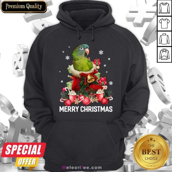 Funny Parrot Ornament Decoration Christmas Tree Tee Xmas Gifts Hoodie- Design by Meteoritee.com