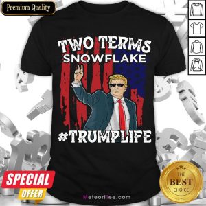 Good Two Terms Snowflake Vote President Trump US Flag Sunglasses Shirt- Design by Meteoritee.com