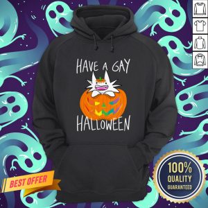 I Have Gay Ghost Pumpkin Halloween Hoodie