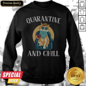 Nice Cat Quarantine And Chill 2020 Sweatshirt