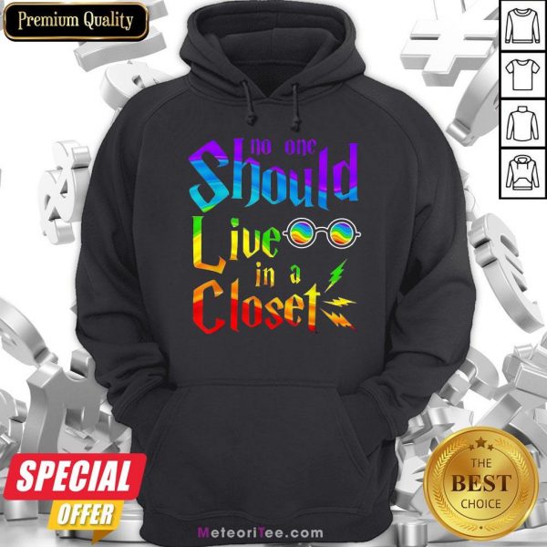 Nice Lgbt No One Should Live In A Closet Hoodie- Design by Meteoritee.com
