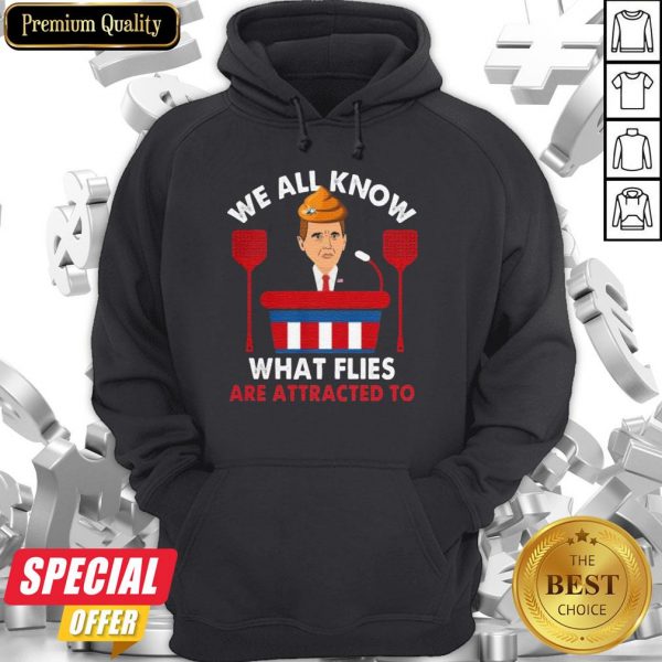 We All Know What Flies Are Attracted To Funny Pence 2020 Vp Debate Hoodie