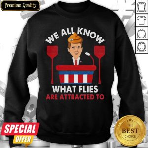 We All Know What Flies Are Attracted To Funny Pence 2020 Vp Debate Sweatshirt