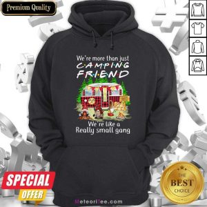 We’re More Than Just Camping Friend We’re Like A Really Small Gang Camping Funny Hoodie - Design By Meteoritee.com