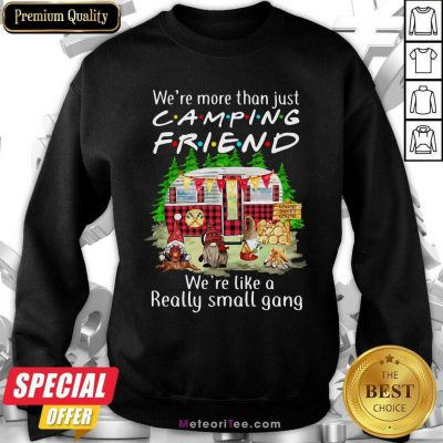 We’re More Than Just Camping Friend We’re Like A Really Small Gang Camping Funny Sweatshirt - Design By Meteoritee.com