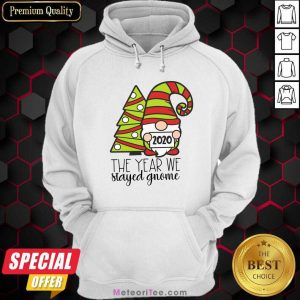 2020 The Year We Stayed Gnome Tree Christmas Hoodie- Design By Meteoritee.com