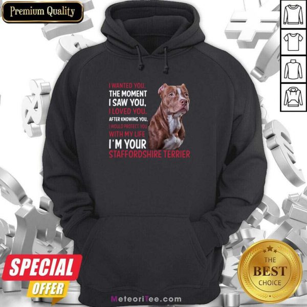 I Wanted You The Moment I Saw You I Loved You After Knowing You Staffordshire Funny Hoodie- Design By Meteoritee.com