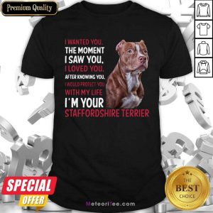 I Wanted You The Moment I Saw You I Loved You After Knowing You Staffordshire Funny Shirt - Design By Meteoritee.com
