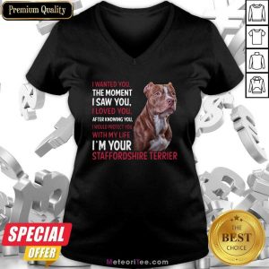 I Wanted You The Moment I Saw You I Loved You After Knowing You Staffordshire Funny V-neck- Design By Meteoritee.com
