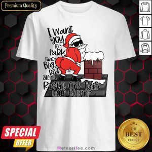 Santa Claus I Want You To Park That Big Red And Light Right On This Rooftop Christmas Shirt - Design By Meteoritee.com