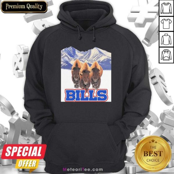 Buffalo Bills NFL Hoodie - Design By Meteoritee.com