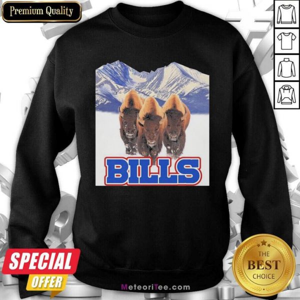 Buffalo Bills NFL Sweatshirt - Design By Meteoritee.com