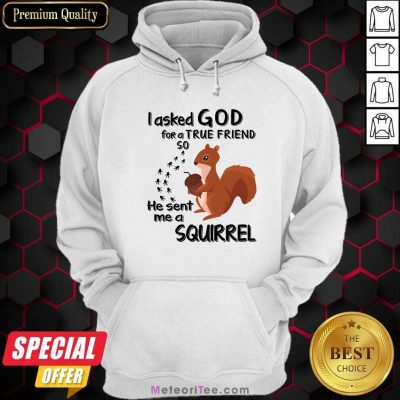 I Asked God For A True Friend So He Sent Me A Squirrel Hoodie- Design By Meteoritee.com
