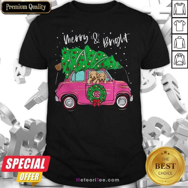 Merry And Bright Pitbull Dog Christmas Shirt- Design By Meteoritee.com