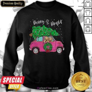 Merry And Bright Pitbull Dog Christmas Sweatshirt - Design By Meteoritee.com