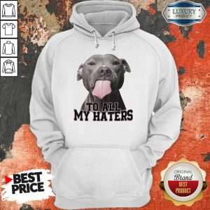 Funny Pitbull To All My Haters Hoodie