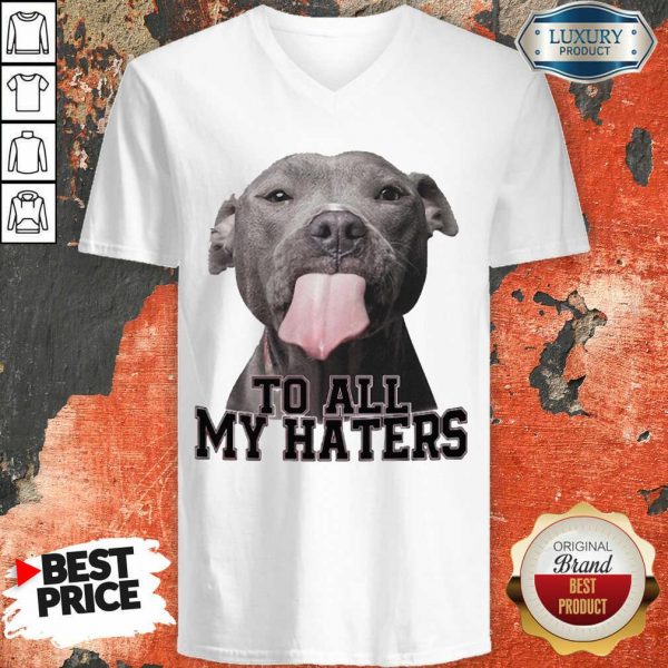 Funny Pitbull To All My Haters V-neck
