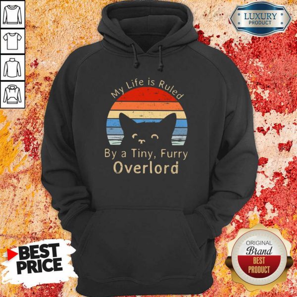 My Life Is Ruled By A Tiny Overlord Vintage Hoodie