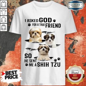 I Asked God For A True Friend So He Sent Me A Shih Tzu Shirt